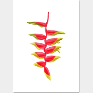 Red & Yellow Heliconia, Lobster-claws Digital Art Posters and Art